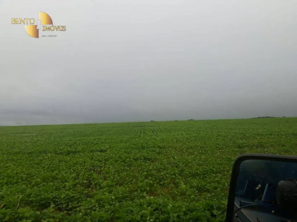 Farm for sale of 96,371 acres in Confresa, MT, Brazil