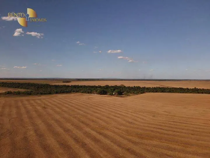 Farm for sale of 96,371 acres in Confresa, MT, Brazil