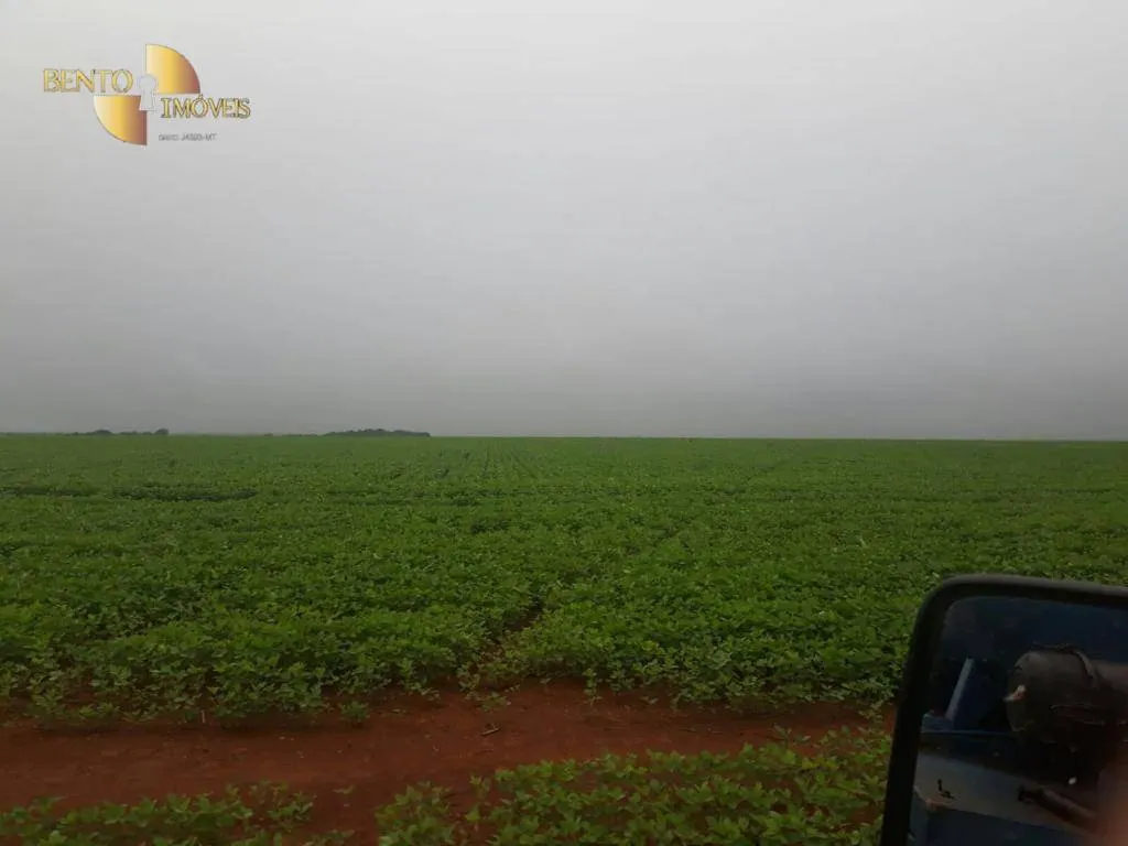 Farm for sale of 96,371 acres in Confresa, MT, Brazil