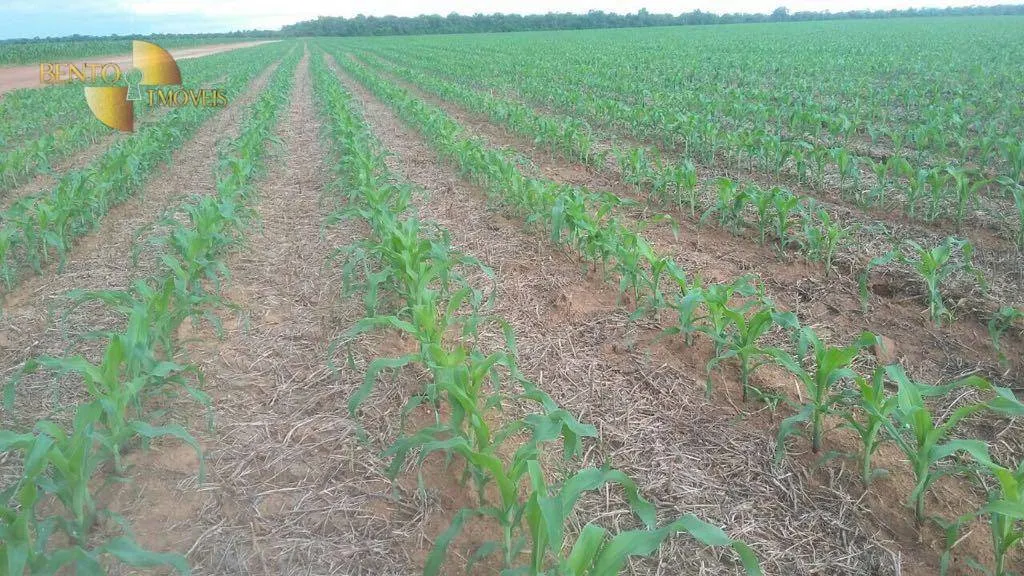 Farm for sale of 96,371 acres in Confresa, MT, Brazil