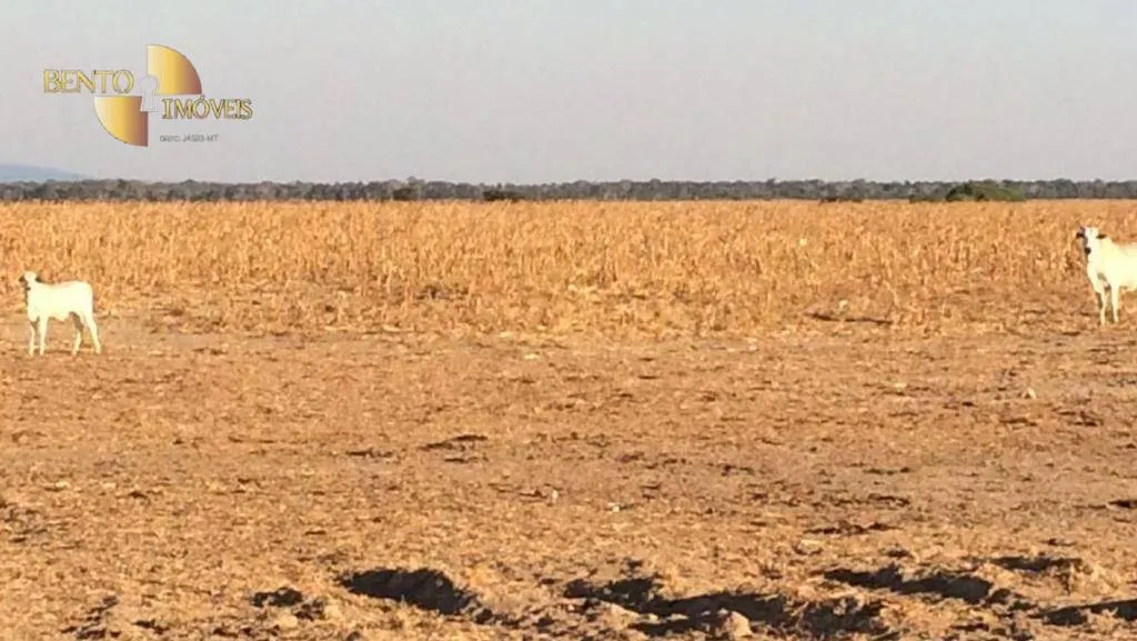 Farm for sale of 96,371 acres in Confresa, MT, Brazil