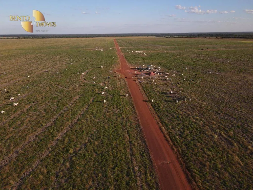 Farm for sale of 96,371 acres in Confresa, MT, Brazil