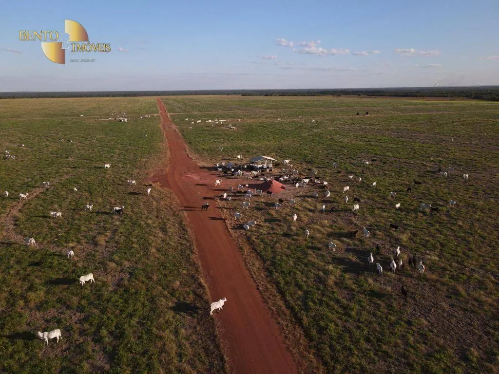 Farm for sale of 96,371 acres in Confresa, MT, Brazil