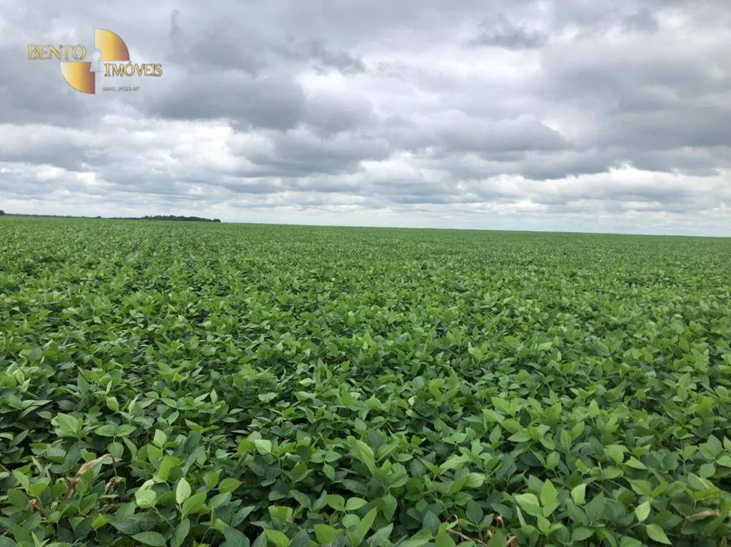 Farm for sale of 96,371 acres in Confresa, MT, Brazil