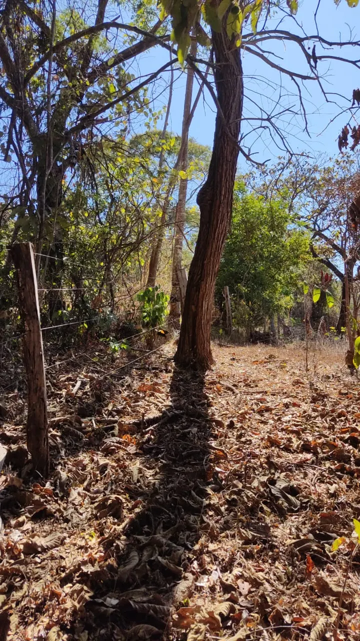 Small farm for sale of 334 acres in Barro Alto, GO, Brazil