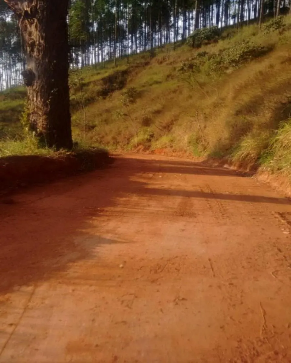 Small farm for sale of 111 acres in Roseira, SP, Brazil