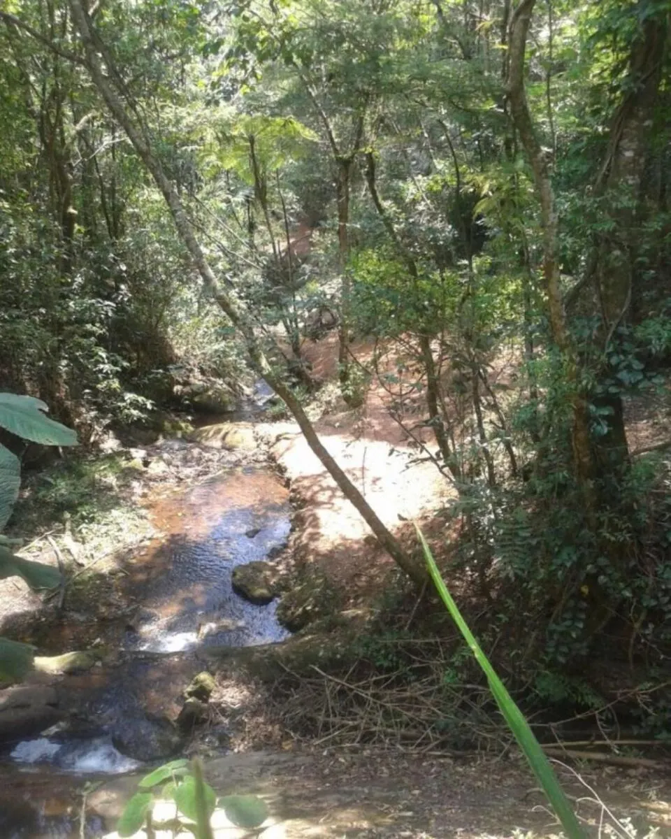 Small farm for sale of 111 acres in Roseira, SP, Brazil