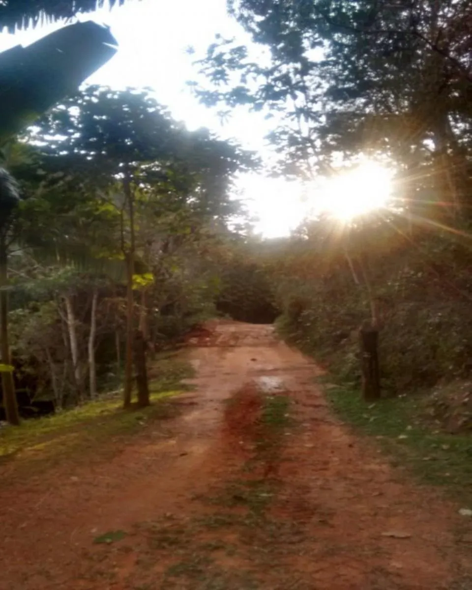 Small farm for sale of 111 acres in Roseira, SP, Brazil