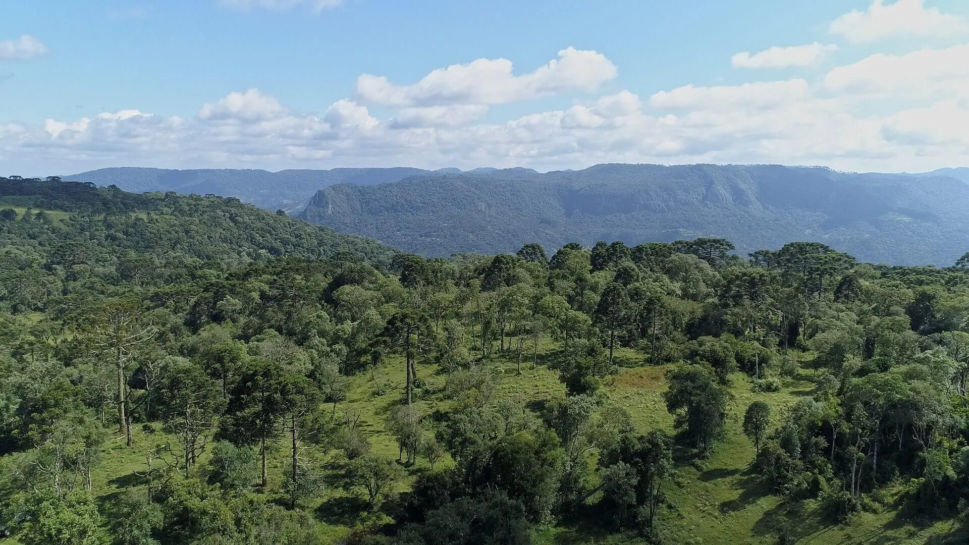 Sítio à venda de 5 ha em Urubici, SC, Brasil