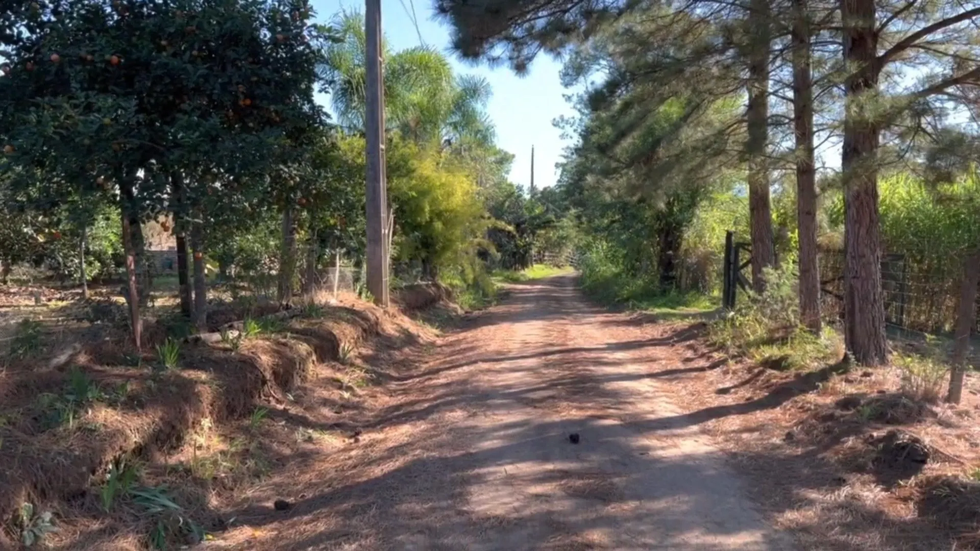 Chácara à venda de 3.900 m² em Igrejinha, RS, Brasil