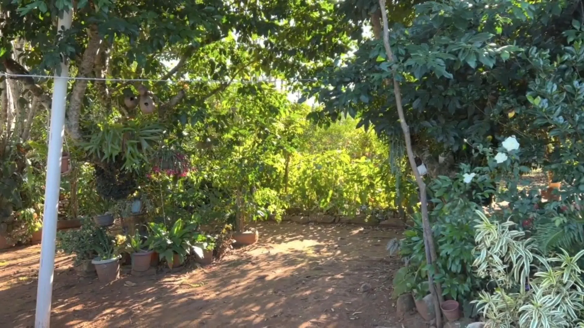 Chácara à venda de 3.900 m² em Igrejinha, RS, Brasil