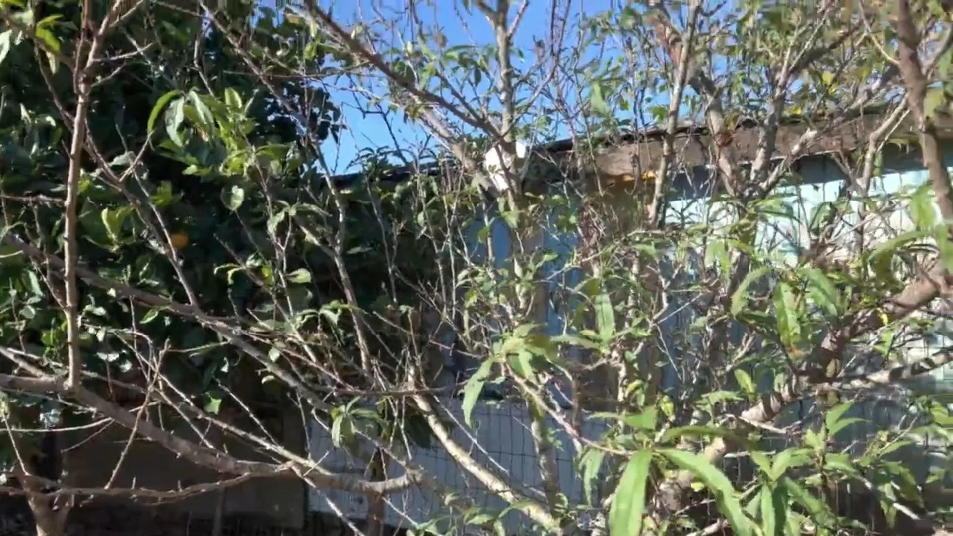 Chácara à venda de 3.900 m² em Igrejinha, RS, Brasil