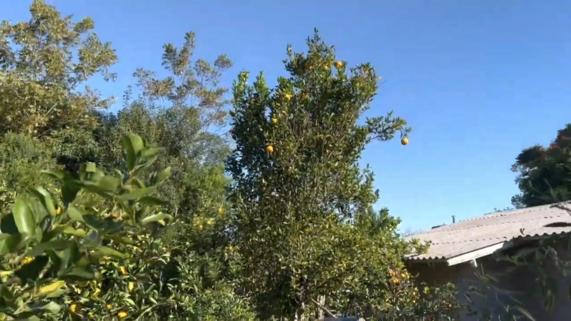 Chácara à venda de 3.900 m² em Igrejinha, RS, Brasil