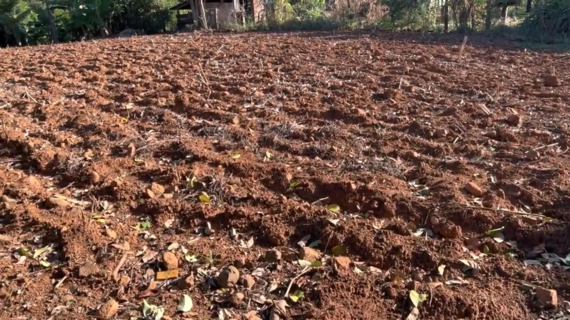 Chácara à venda de 3.900 m² em Igrejinha, RS, Brasil