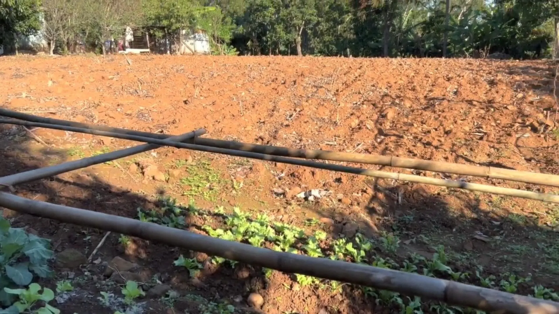 Chácara à venda de 3.900 m² em Igrejinha, RS, Brasil