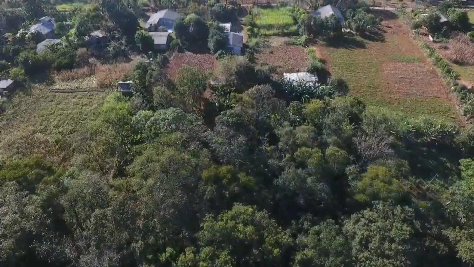 Chácara à venda de 3.900 m² em Igrejinha, RS, Brasil