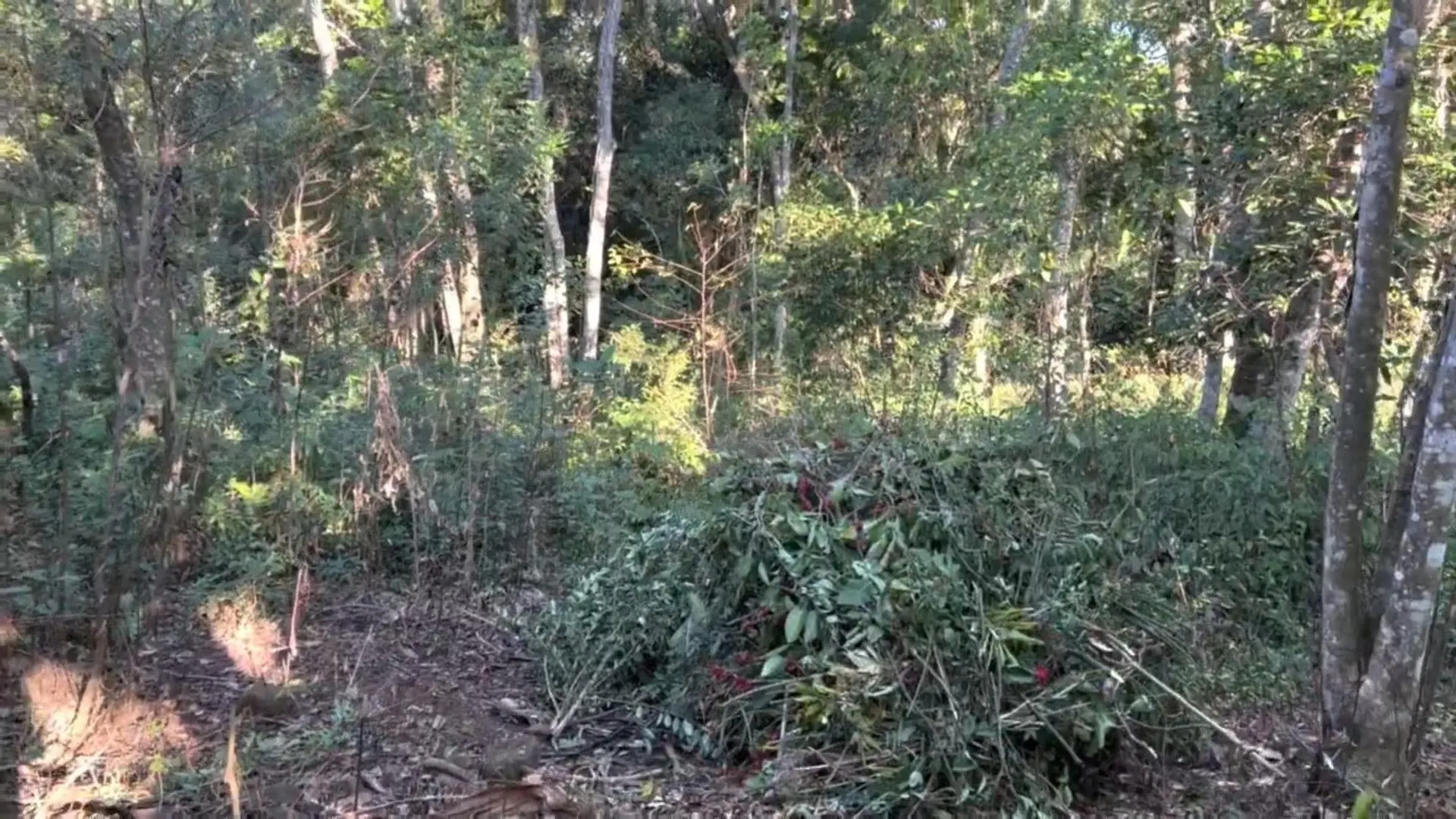 Chácara à venda de 3.900 m² em Igrejinha, RS, Brasil