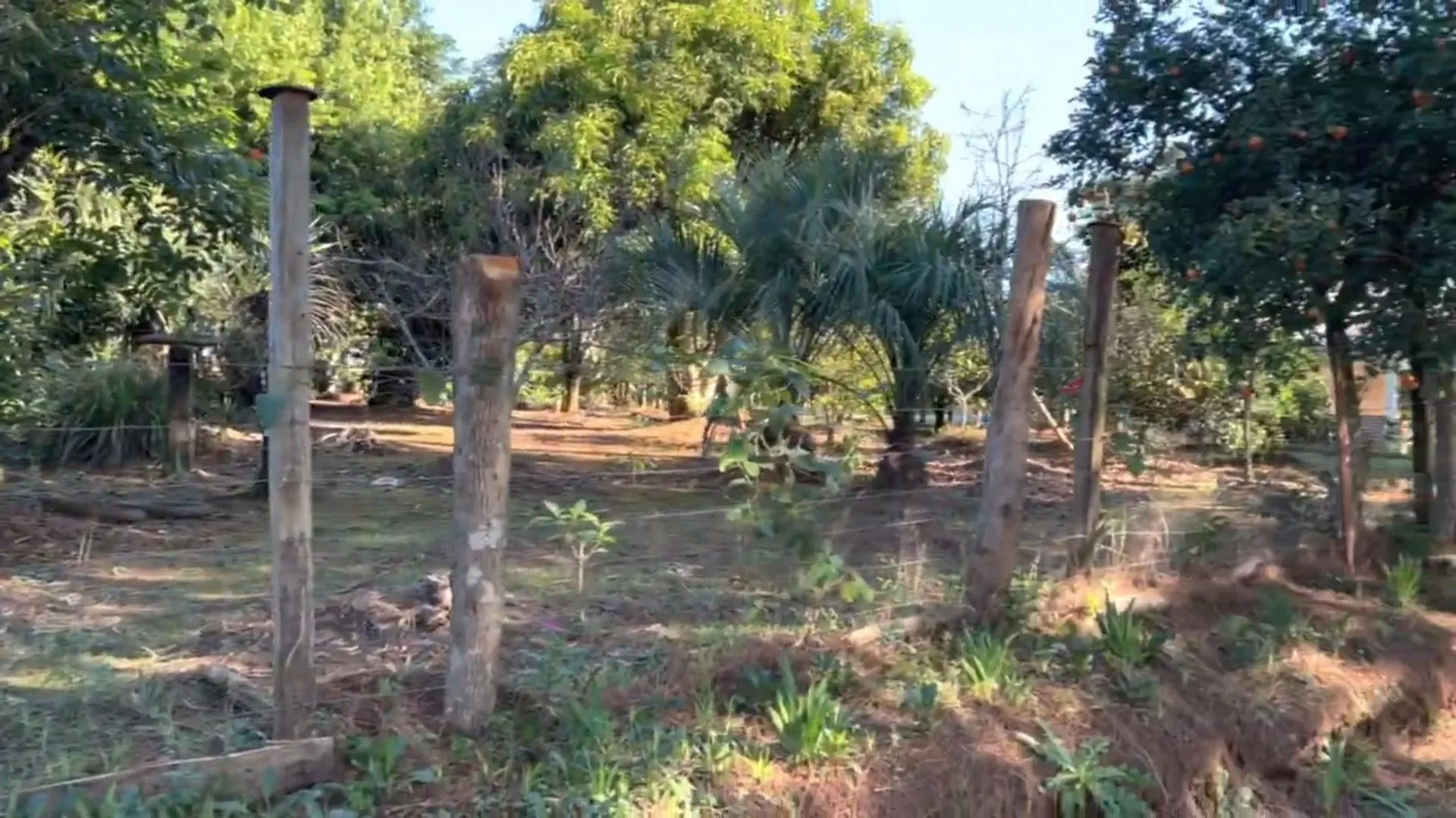 Chácara à venda de 3.900 m² em Igrejinha, RS, Brasil