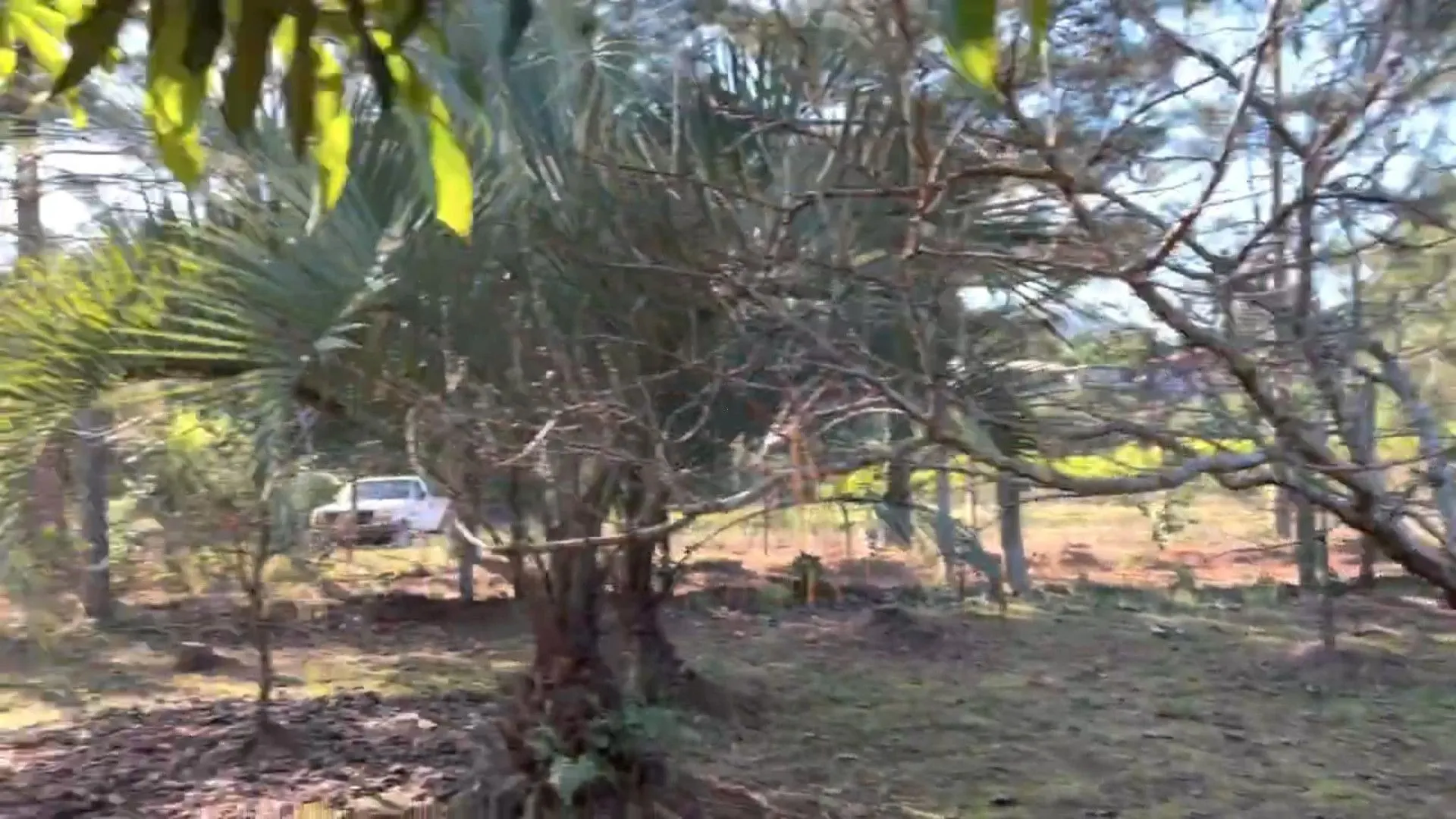 Chácara à venda de 3.900 m² em Igrejinha, RS, Brasil