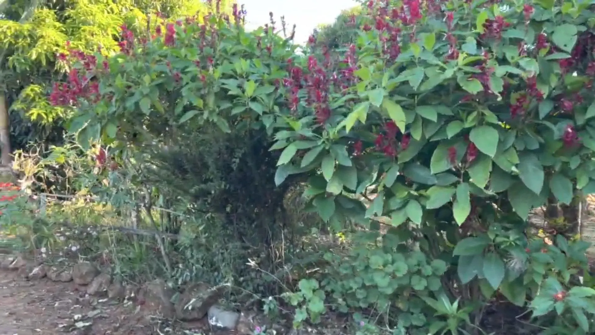 Chácara à venda de 3.900 m² em Igrejinha, RS, Brasil