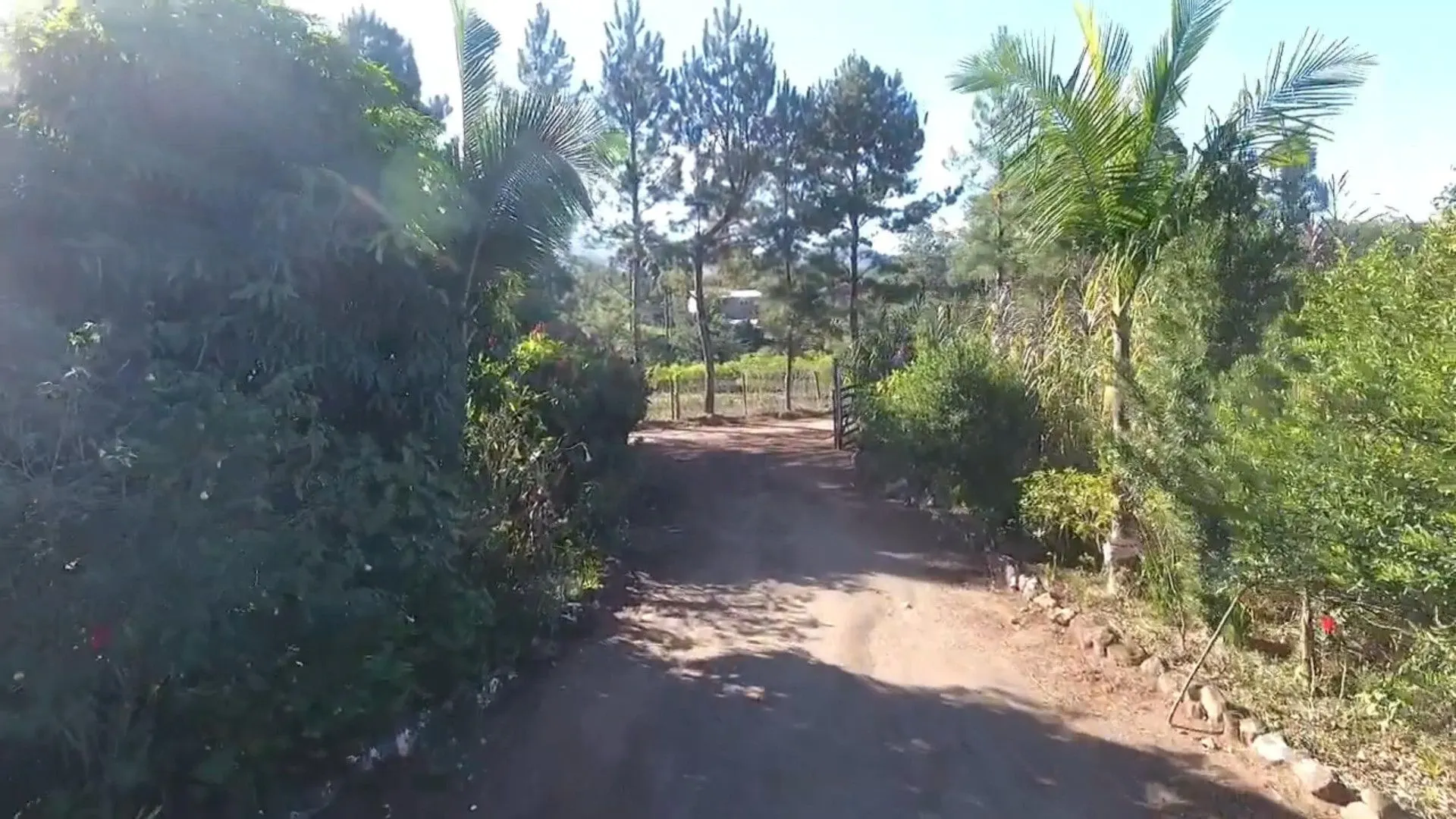 Chácara à venda de 3.900 m² em Igrejinha, RS, Brasil