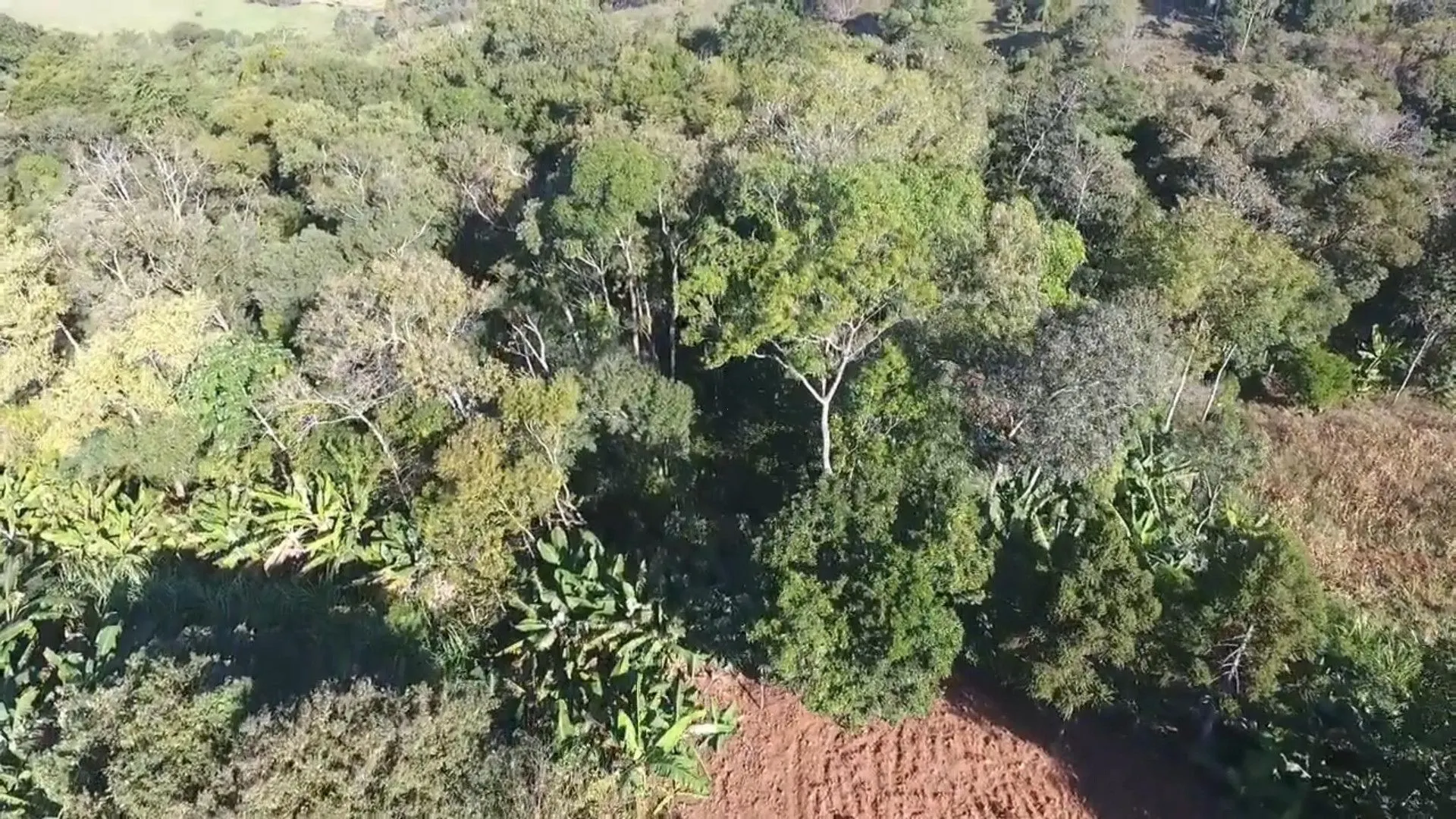 Chácara à venda de 3.900 m² em Igrejinha, RS, Brasil