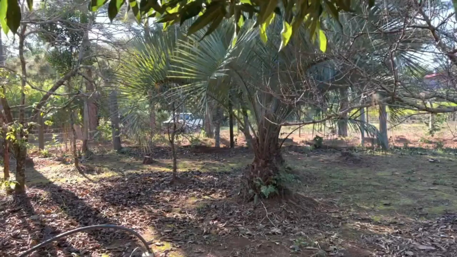 Chácara à venda de 3.900 m² em Igrejinha, RS, Brasil