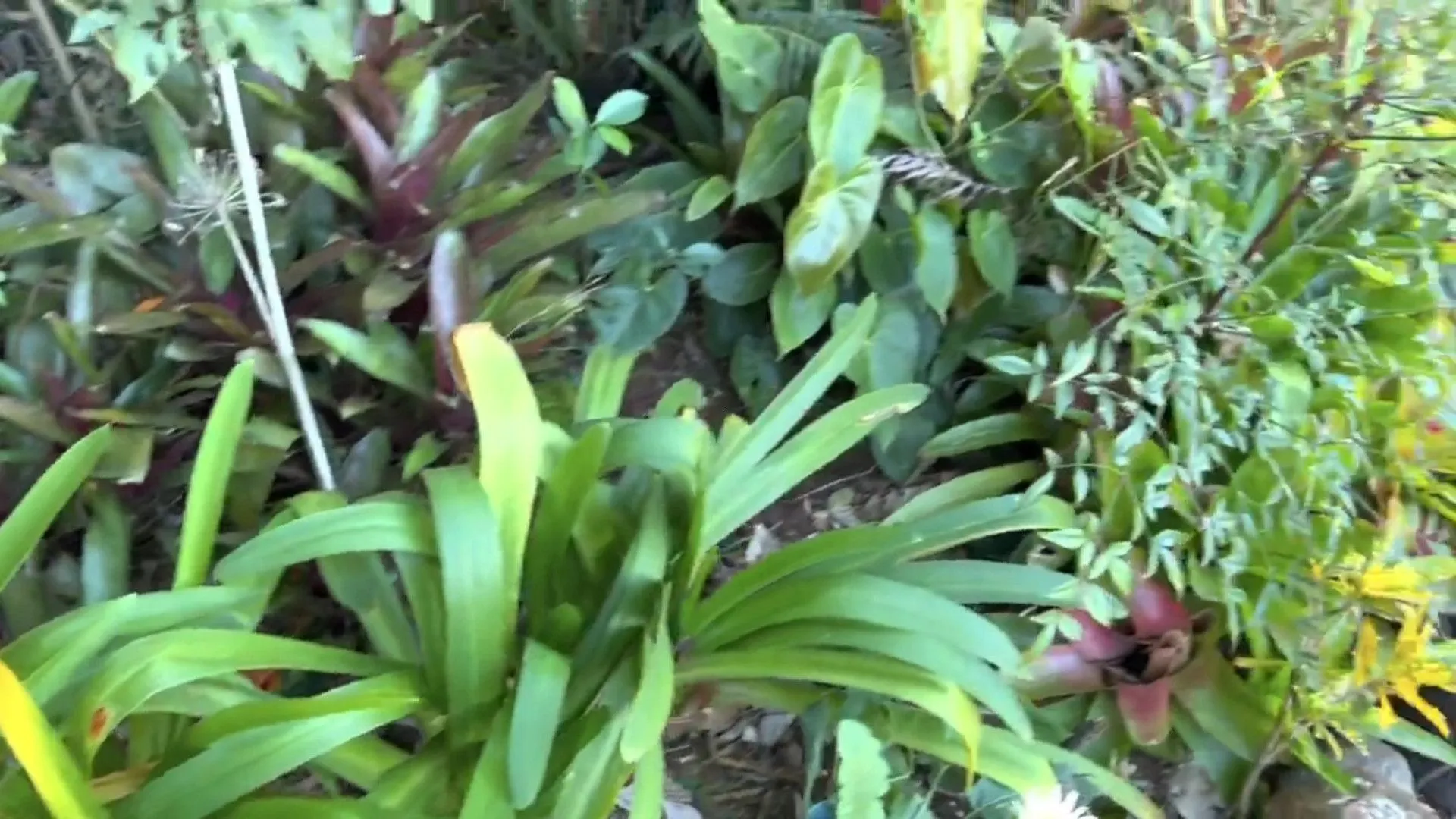 Chácara à venda de 3.900 m² em Igrejinha, RS, Brasil
