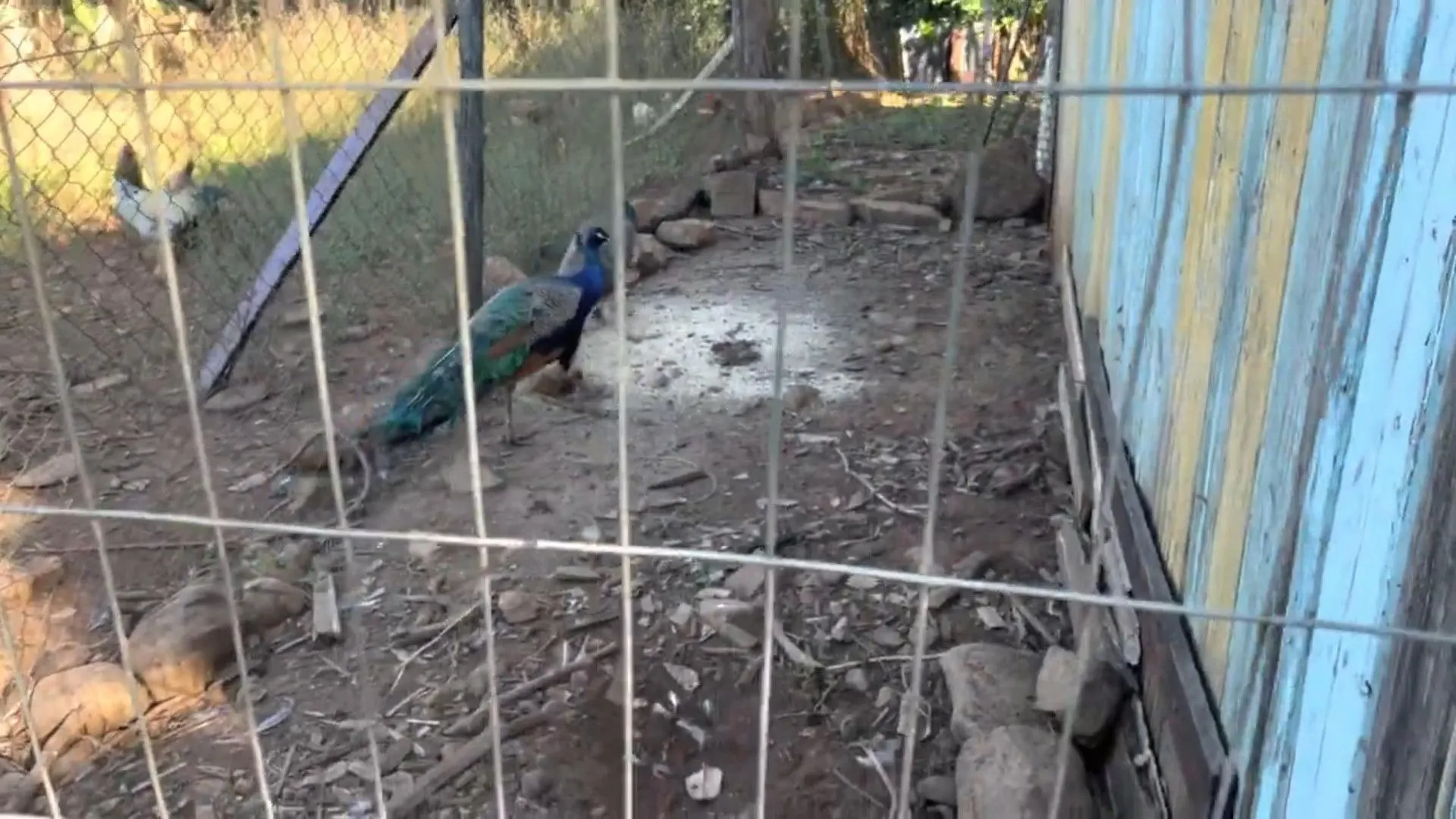 Chácara à venda de 3.900 m² em Igrejinha, RS, Brasil