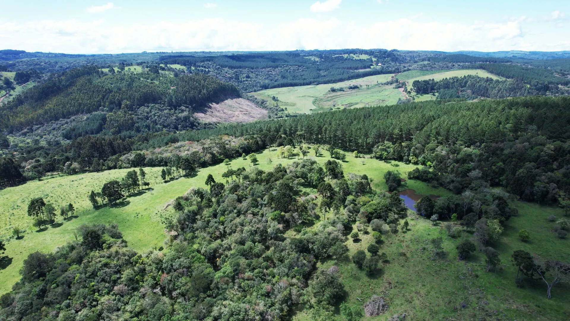 Terreno à venda de 14 ha em Ponte Alta, SC, Brasil