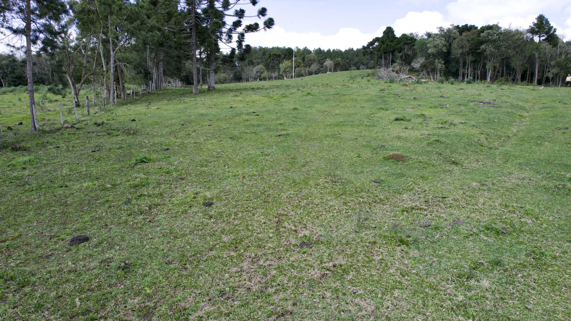 Terreno à venda de 14 ha em Ponte Alta, SC, Brasil