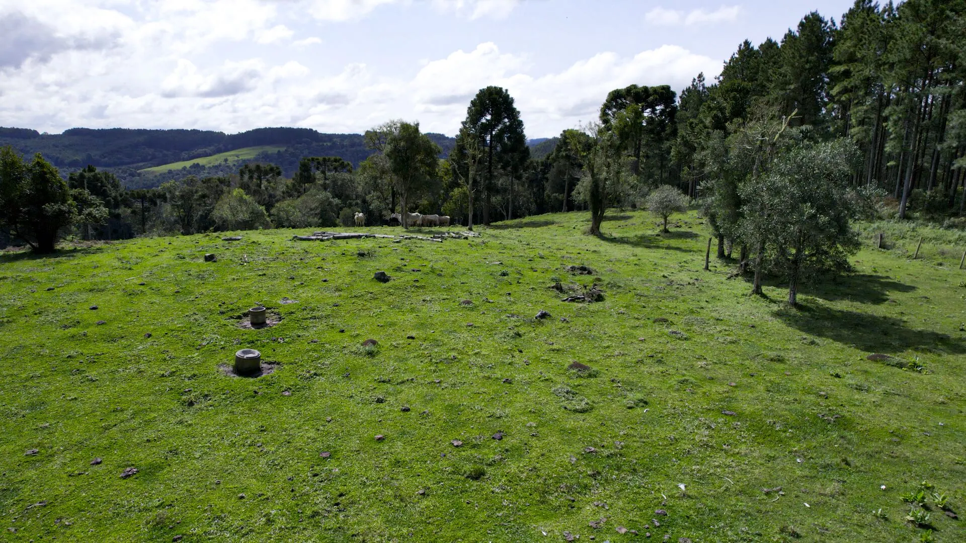Terreno à venda de 14 ha em Ponte Alta, SC, Brasil