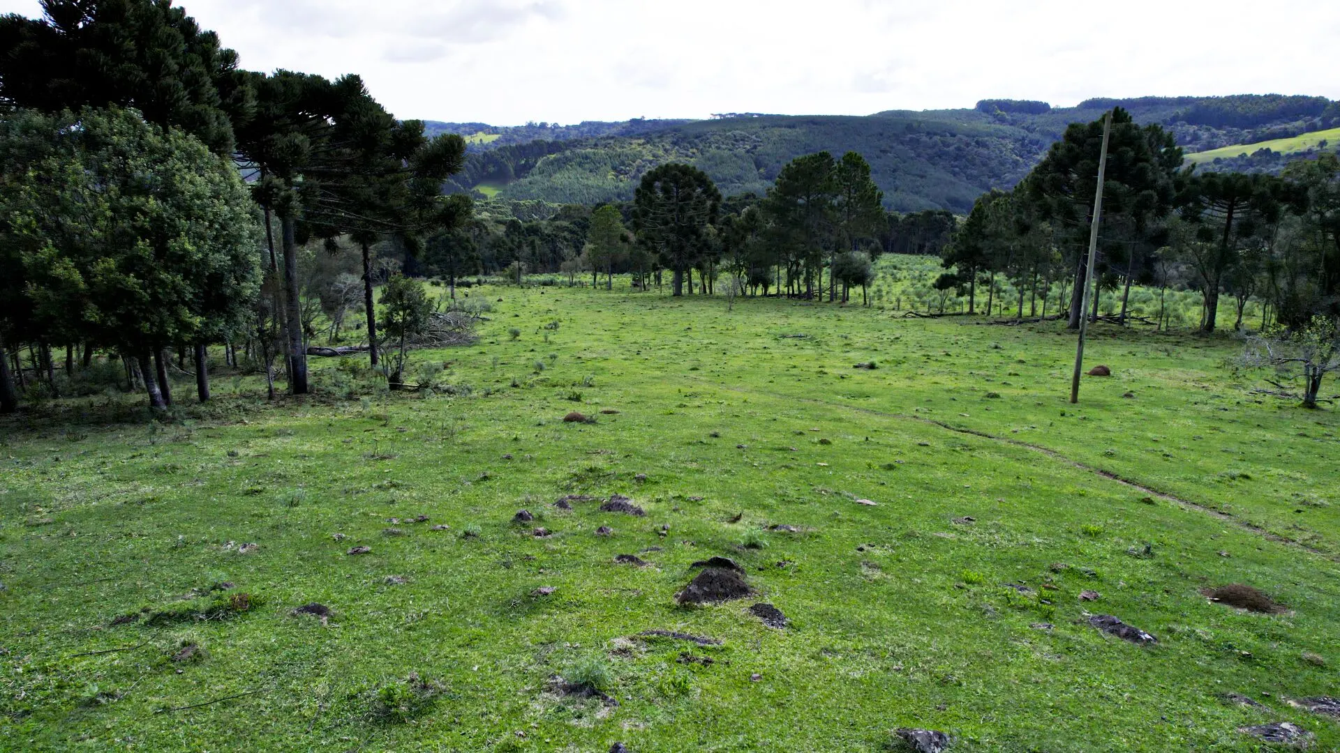 Terreno à venda de 14 ha em Ponte Alta, SC, Brasil