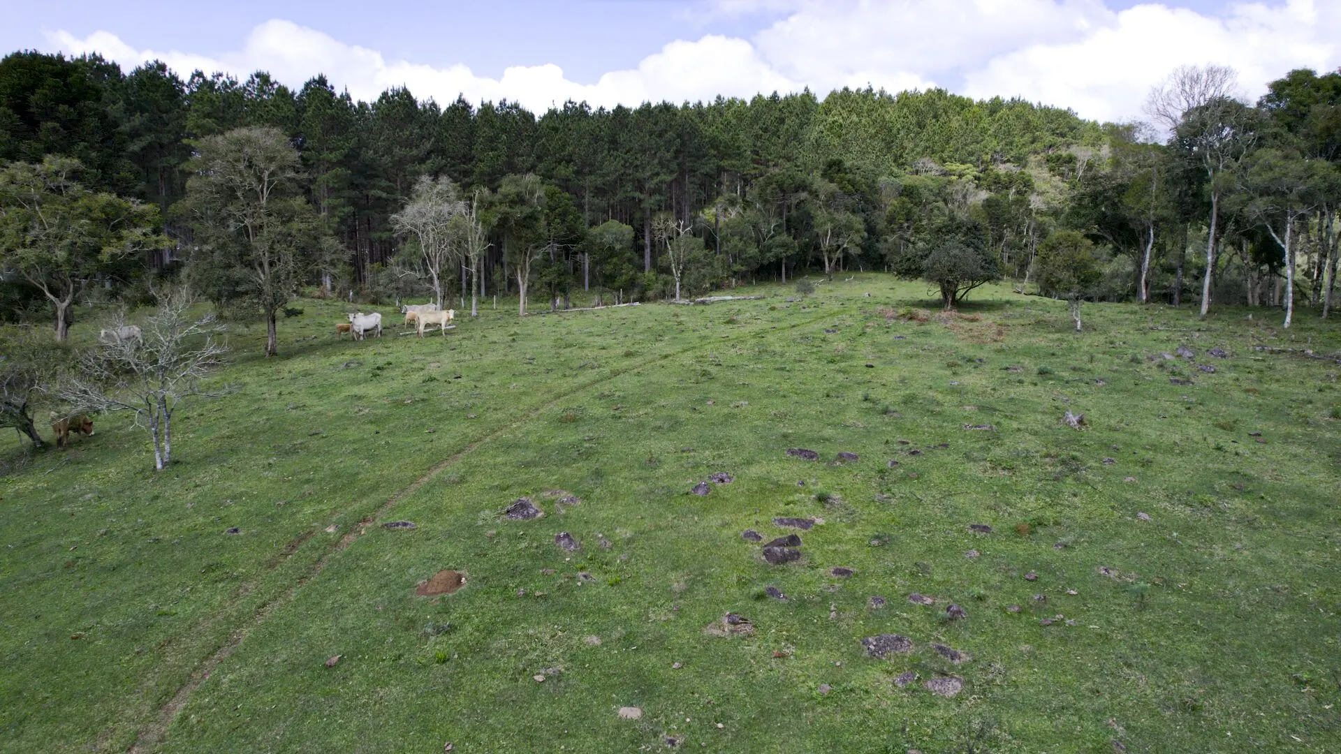 Terreno à venda de 14 ha em Ponte Alta, SC, Brasil
