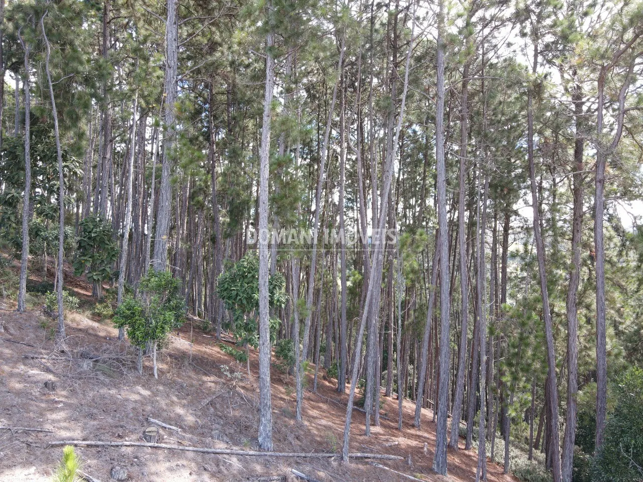 Plot for sale of 1,800 m² in Campos do Jordão, SP, Brazil
