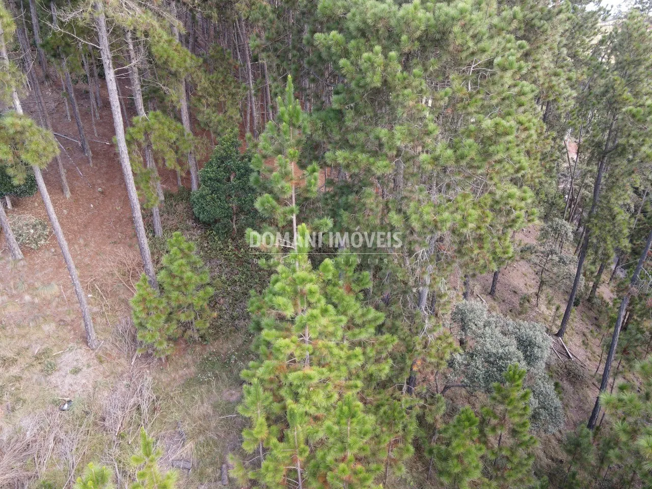 Plot for sale of 1,800 m² in Campos do Jordão, SP, Brazil