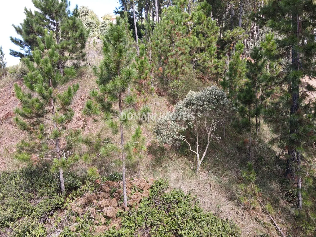 Plot for sale of 1,800 m² in Campos do Jordão, SP, Brazil