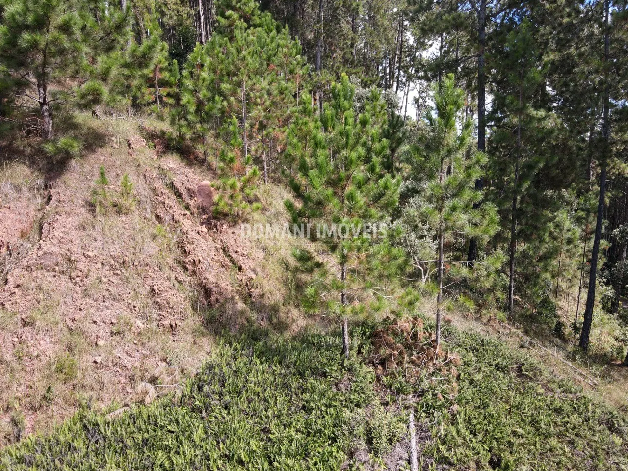 Plot for sale of 1,800 m² in Campos do Jordão, SP, Brazil