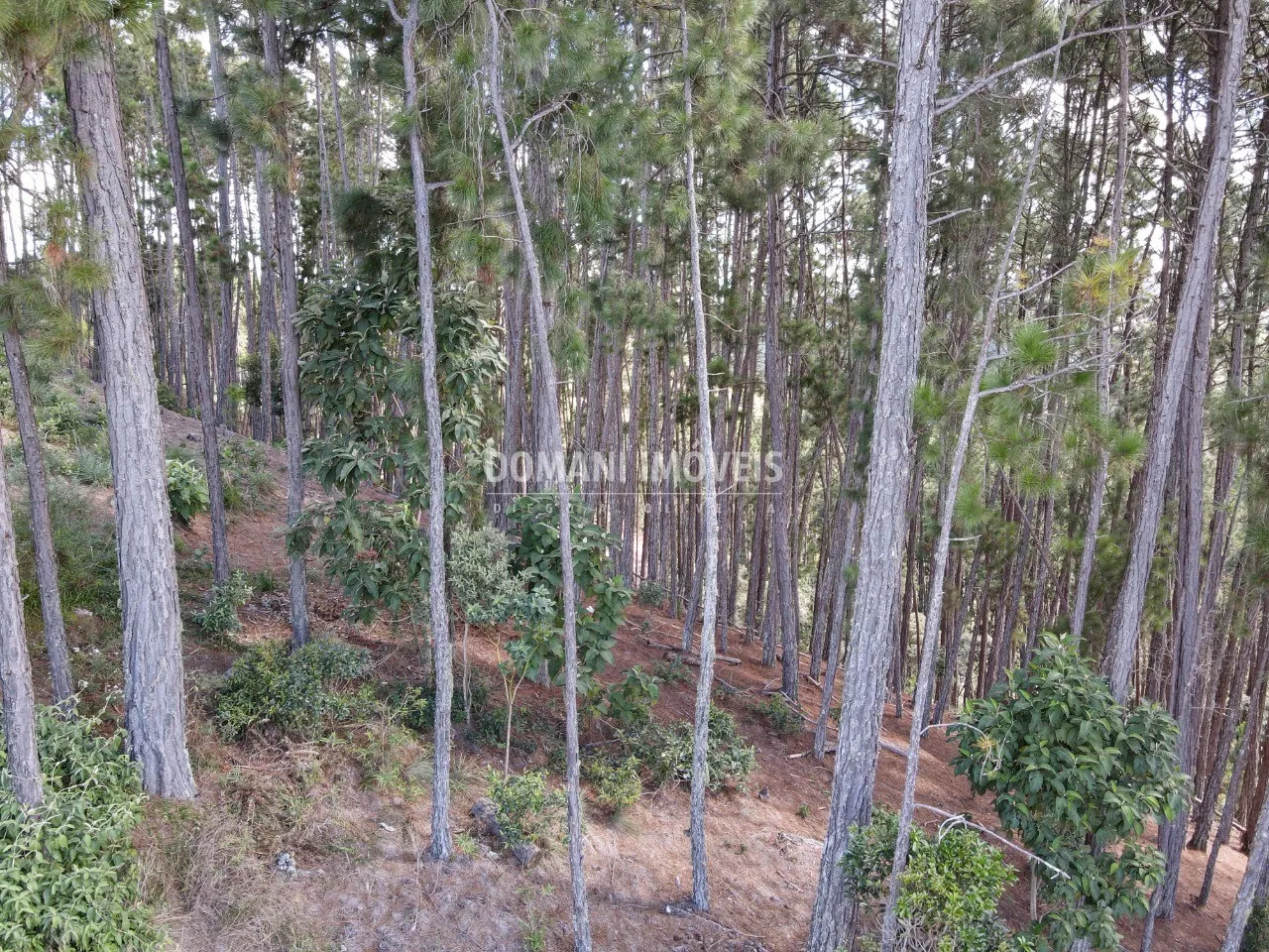 Plot for sale of 1,800 m² in Campos do Jordão, SP, Brazil