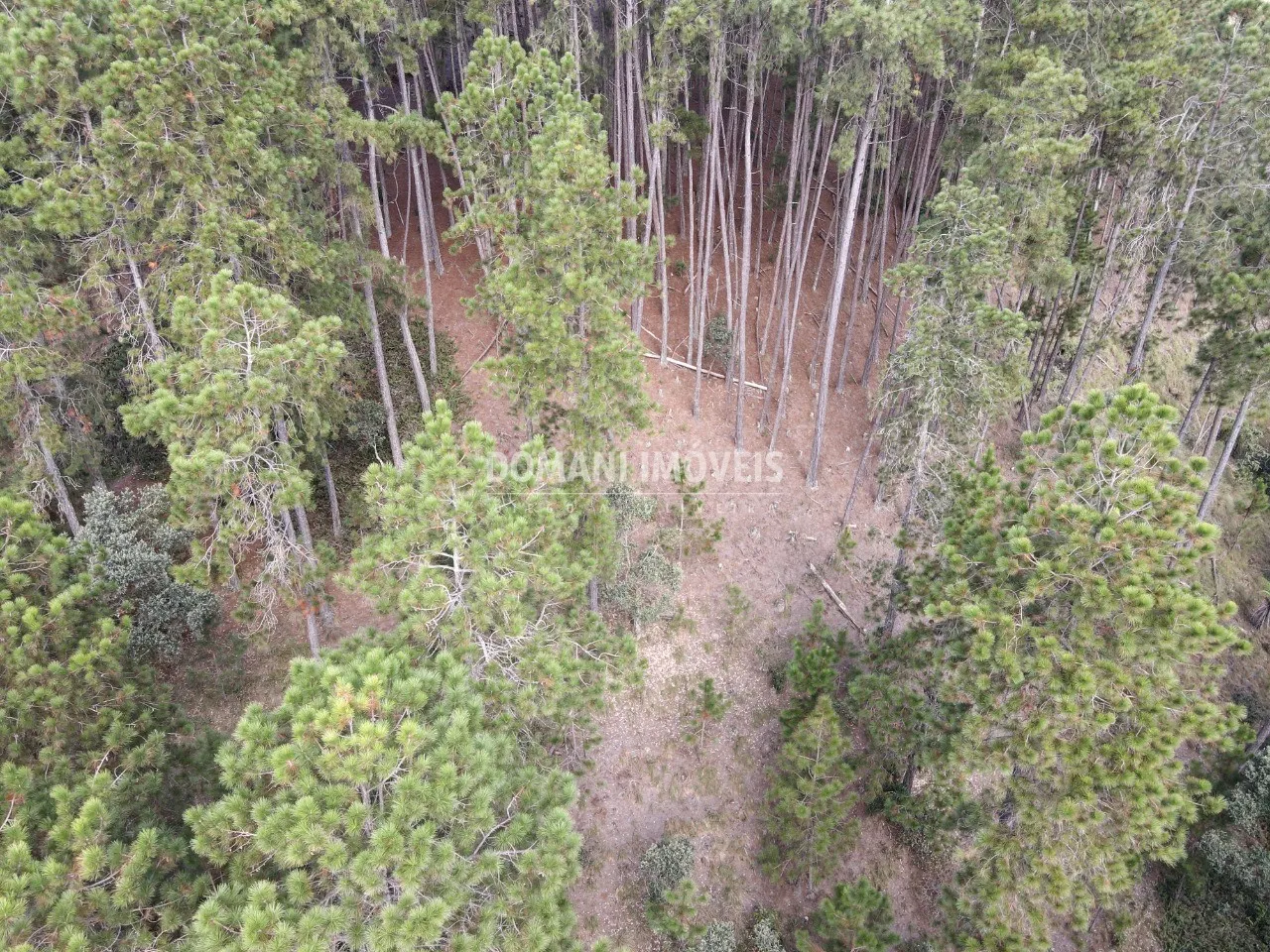 Plot for sale of 1,800 m² in Campos do Jordão, SP, Brazil