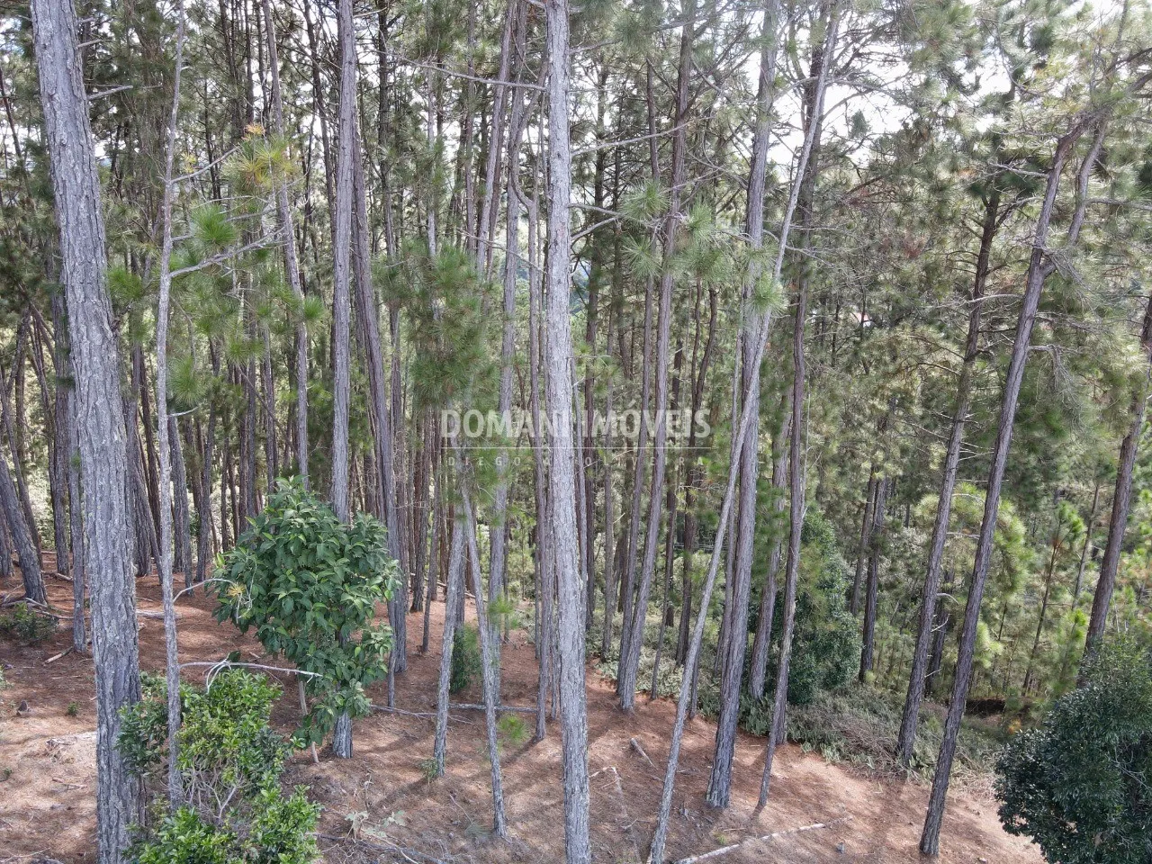 Plot for sale of 1,800 m² in Campos do Jordão, SP, Brazil