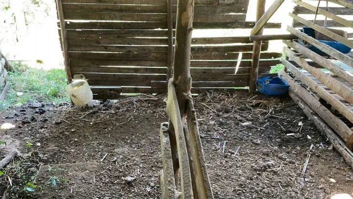 Sítio à venda de 6 ha em Santo Antônio da Patrulha, RS, Brasil