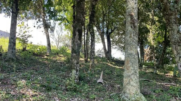 Sítio à venda de 6 ha em Santo Antônio da Patrulha, RS, Brasil