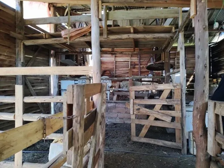 Sítio à venda de 6 ha em Santo Antônio da Patrulha, RS, Brasil