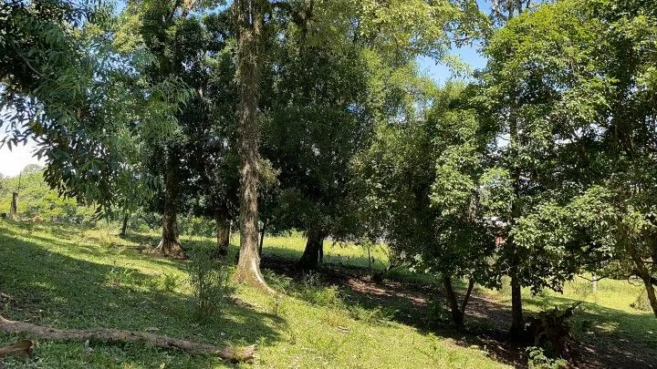 Sítio à venda de 6 ha em Santo Antônio da Patrulha, RS, Brasil