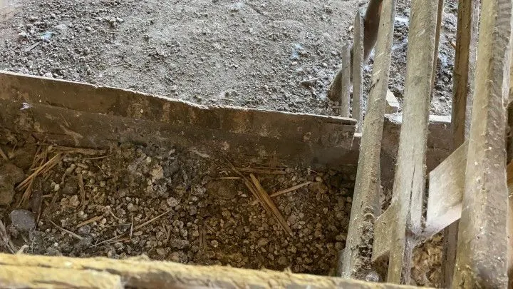 Sítio à venda de 6 ha em Santo Antônio da Patrulha, RS, Brasil