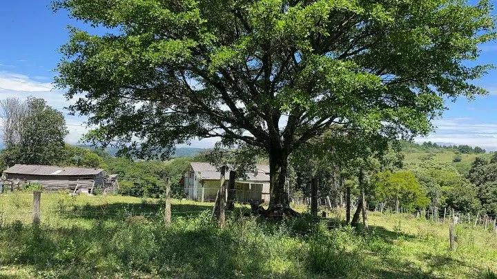 Sítio à venda de 6 ha em Santo Antônio da Patrulha, RS, Brasil