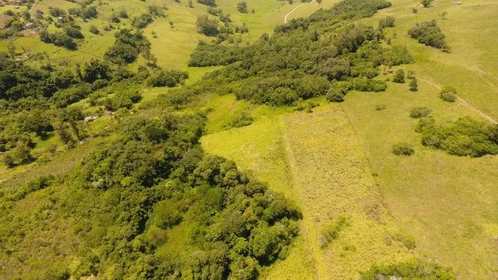 Sítio à venda de 6 ha em Santo Antônio da Patrulha, RS, Brasil