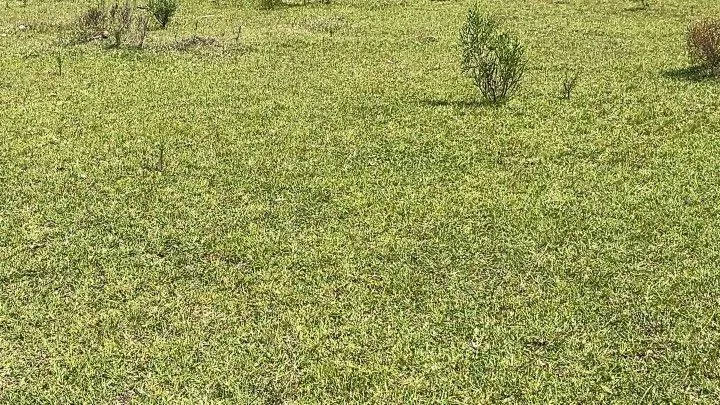 Sítio à venda de 6 ha em Santo Antônio da Patrulha, RS, Brasil