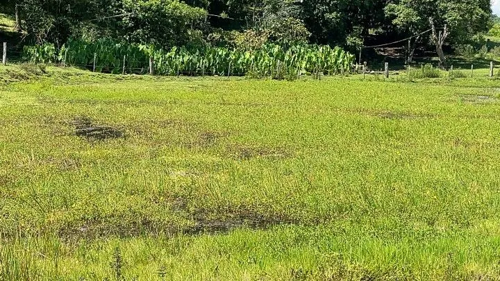 Sítio à venda de 6 ha em Santo Antônio da Patrulha, RS, Brasil